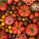 Τι φυτά επιλέγουμε τον Απρίλιο